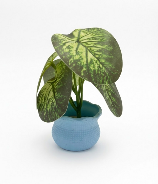 Faux Variegated Caladium in Blue Pot