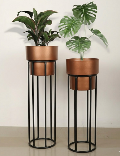 The Sienna Duo Stands