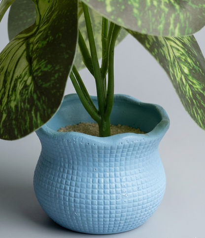 Faux Variegated Caladium in Blue Pot